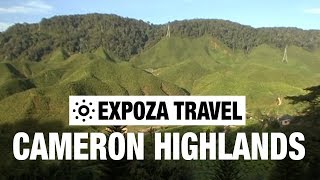 Cameron Highlands (Malaysia) Vacation Travel Video Guide