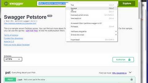 Postman vs. Petstore