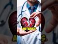 These 10 Foods Will Unclog Your Arteries Fast #health #healthtips #shorts #heathytips