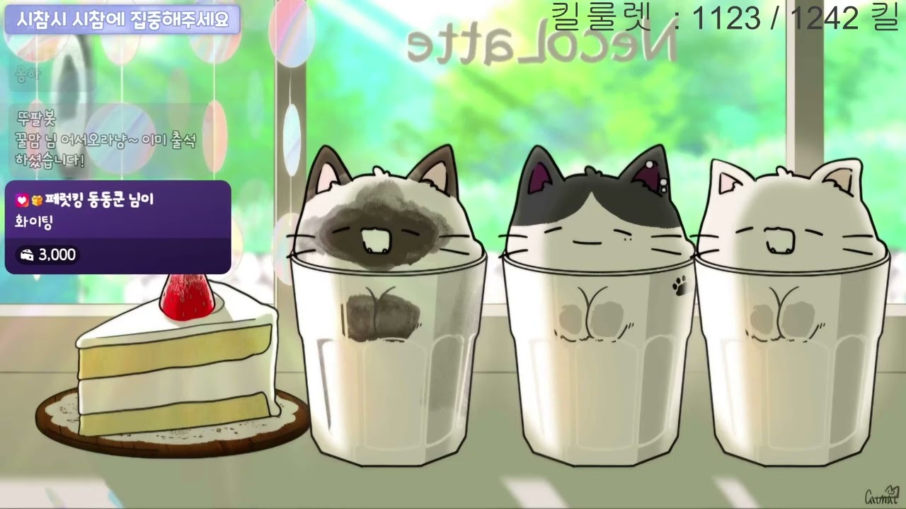 2026 02 28 다시보기 [낮방]