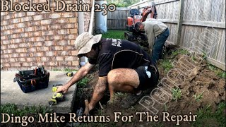 Blocked Drain 231 - Dingo Mike Returns For Another Drain Repair