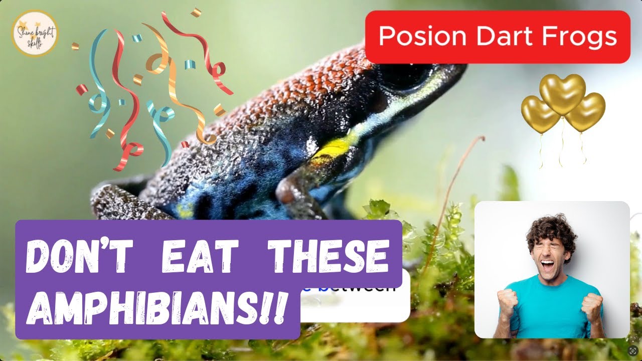 Deadly Defenses & Bright Colors! Poison Dart Frogs 🐸🌿 | 2-Minute Science