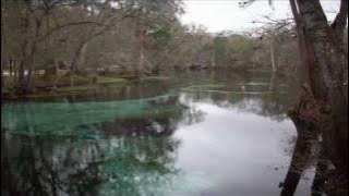 Download lagu Hootie and the Blowfish - Not Even the Trees (lyrics) - Cracked Rear View