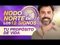 Discover Your Life Purpose I North Node In The 12 Signs
