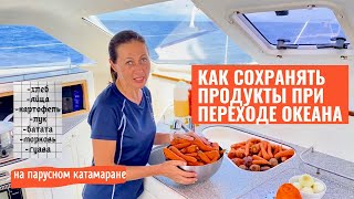 Атлантический океан 2022, как сохранять продукты. #aleksandrtravel