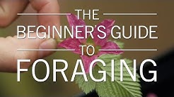 The Beginner's Guide to Foraging | Original Fare | PBS Food