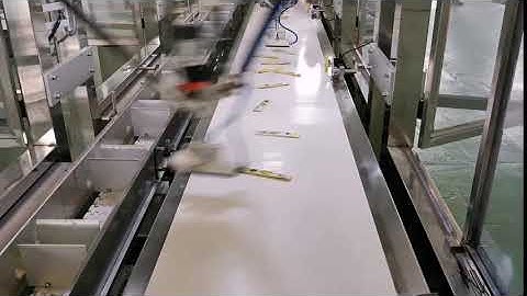 Stick Pouch Automatic Box Packing, Delta Robot Packing Solution, Pouch Cartoning