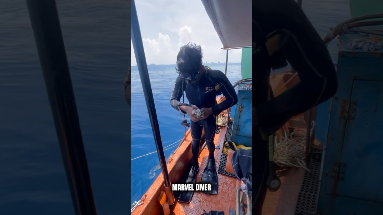 Born to dive. Built to fly 🤿⚓️🌬 