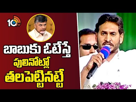 CM Jagan Comments on Chandrababu | చంద్రబాబుకు ఓటు వేసి మోసపోవద్దన్న సీఎం జగన్ | 10TV News - 10TVNEWSTELUGU