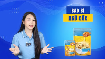 Bao Bì Ngũ Cốc – Bảo Quản Tốt, Thiết Kế Sang Trọng | Vinpack