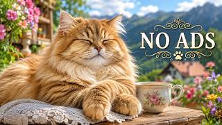 12 Hours Cat TV Music 🐱 Soft Indoor Views & Relaxing Sounds for Cats 🎶 Peaceful Mood | NO ADS screenshot 5
