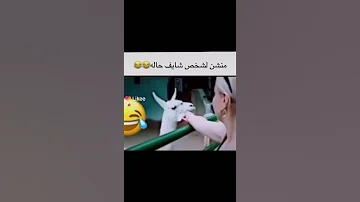 إلى كل بنت شايفه حاله حلوه بتشبه هاي 