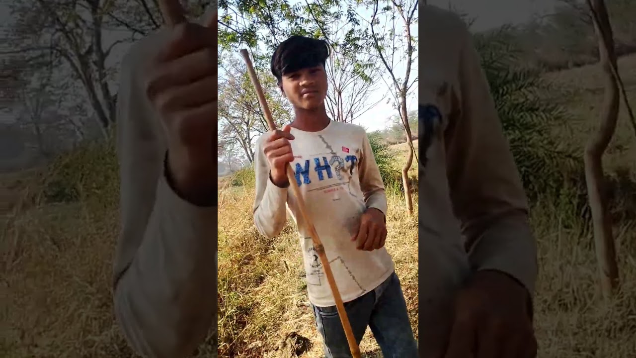 ​आज कहाँ आए हम? | गाँव का मिनी व्लॉग | बकरी चराना और मस्ती! ✨