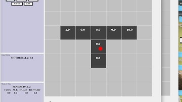 Experiment Builder - Launch the experiment using file input
