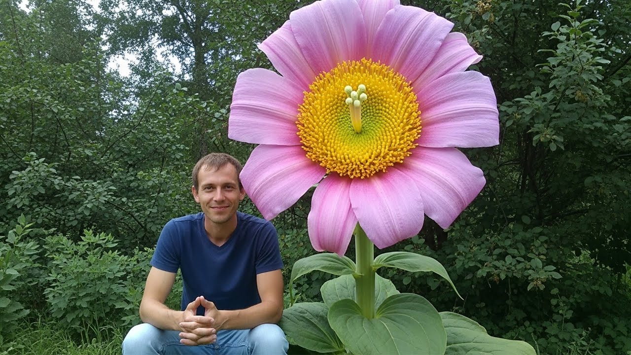 25 Exotic Flowers That Will Leave You Speechless 💐