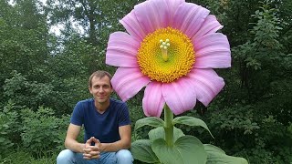 25 Exotic Flowers That Will Leave You Speechless 💐