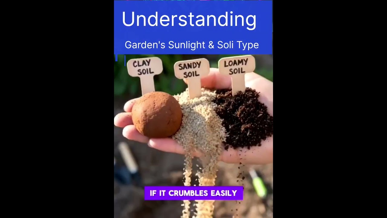 Understanding Your Garden’s Sunlight & Soil Type | Grow Smarter, Not Harder 