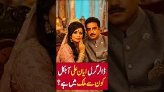 Ayyan Ali The Dollar Girl Where Is Ayyan Ali Now?