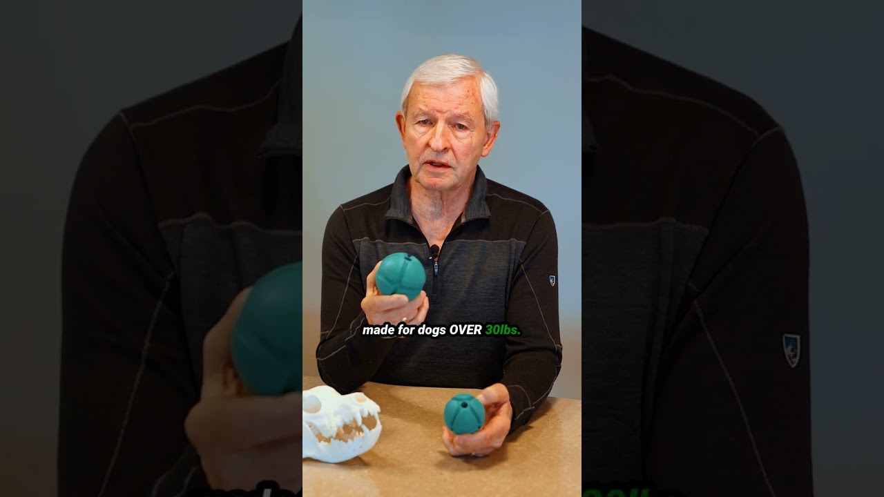 Don’t Make This Dog Toy Sizing Mistake 🐶⚠️ | Joe Markham Explains