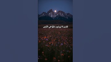 سورة القصص #القرآن_الكريم #القرآن #المصحف #اكسبلور #لايك