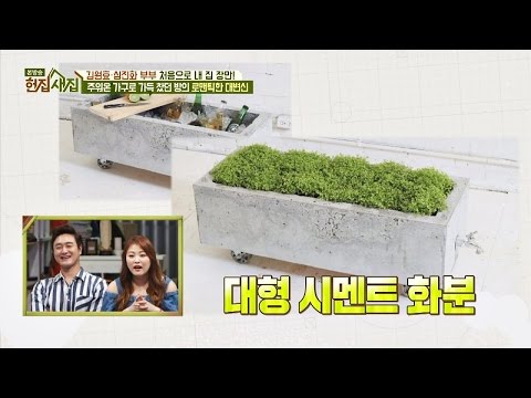 경환의 아이디어! '대형 시멘트 화분' 직접 만들어 보기~ 헌집줄게 새집다오 33회