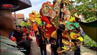LAKI BUDEG voc. Tasni || PUTRA PA'I MUDA LIVE SHOW BREBES Ds.pada sugih dusun klapasawit Brebes