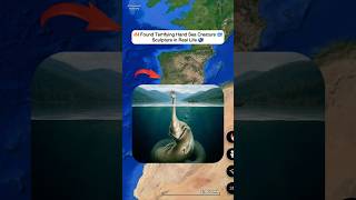 😰 I Found Terrifying Hand Sea Creature On Google Earth 🌍! #shorts #findwouldexploring