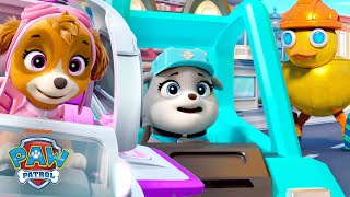 Paw Patrol Skye & Motor Rescue Robots In Adventure Bay Shimmer And Shine