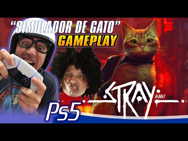 Stray: Ter gato fofo como protagonista esconde mediocridade do jogo em  gameplay - Millenium