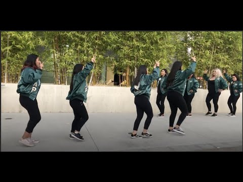 Phi Lambda Rho Stroll