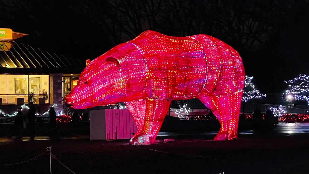 Brookfield Zoo lights Holiday magic _ lights show YouTube