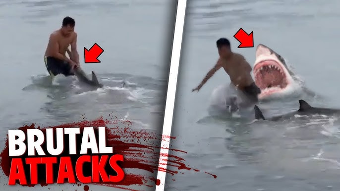 The Most BRUTAL Shark Attacks MARATHON! - YouTube