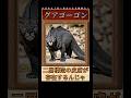 鉄壁の防御に隠された弱点?グアゴーゴンについてご紹介 #かぎあな紹介 #shorts