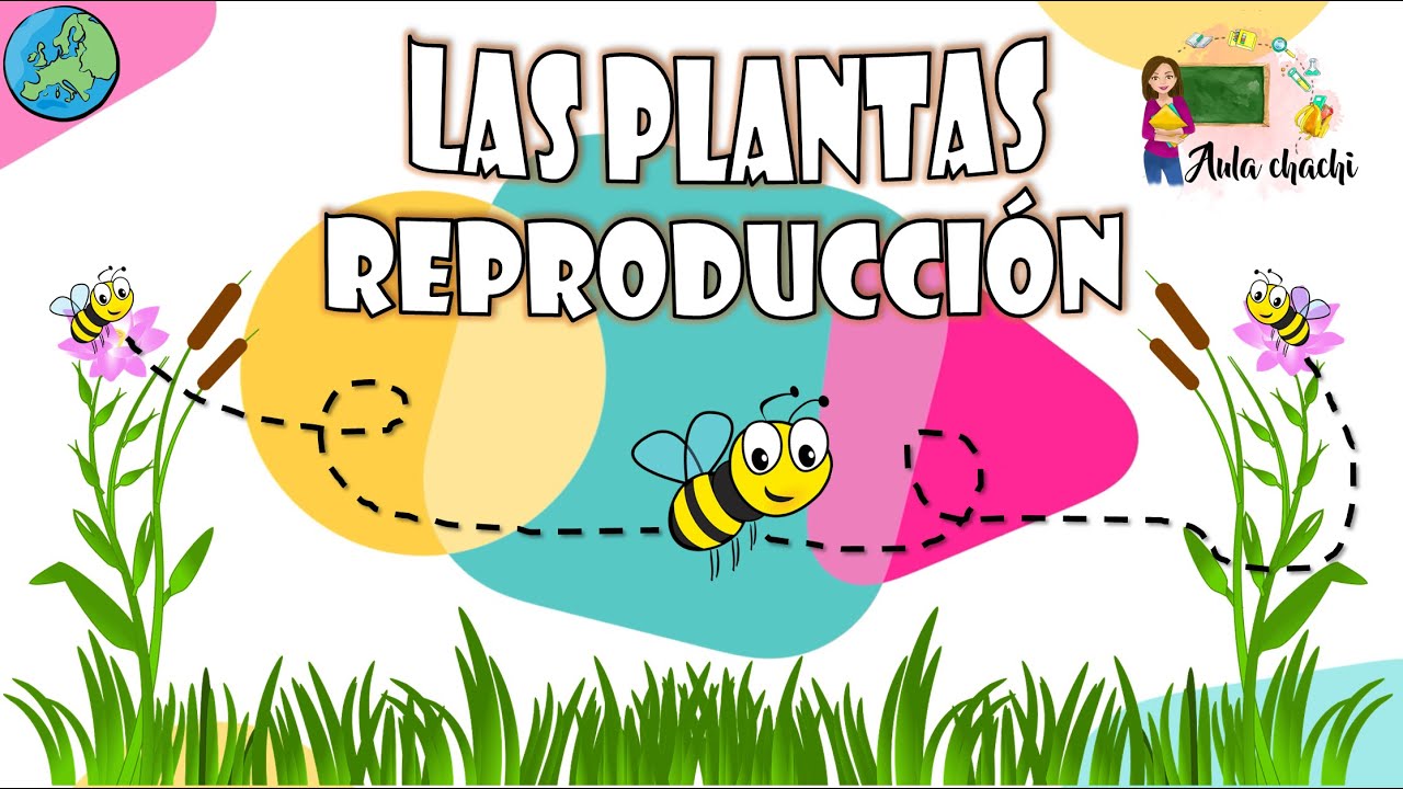 Plantas y animales: A partir de 4 años (Mi primer juego educativo) (Spanish  Edition)