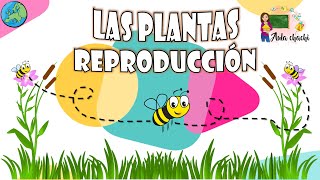 Las Plantas | Reproducción | Aula chachi  Vídeos educativos para niños