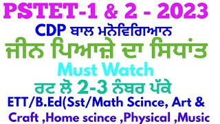 PSTET 2023 CDP ਜੀਨ ਪਿਆਜ਼ੇ very very important Theory #pstepunjabinotes #pstetgoodnews #pstetcdpclass