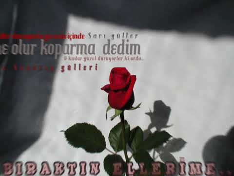 Veda sonu Kendine iyi bak!! www.kahvebahane.org