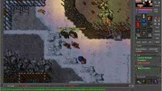 Tibia Fox-dead Life