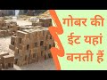 देसी बैल के गोबर की ईट | cow dung brick | Eco friendly bricks