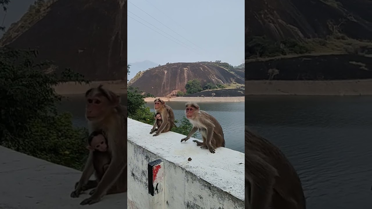 Куда бы ты ни пошёл, ты никуда не уйдёшь 