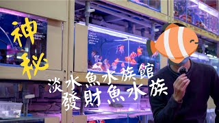 《開箱水族館》神秘老闆!? 位於夜市的淡水魚專賣店 