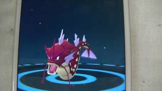 ポケモンgo 金のコイキングを進化させてみた Youtube