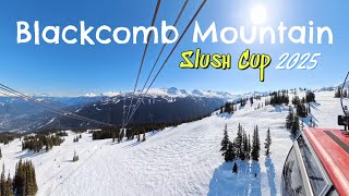 Slush Cup - Blackcomb 2025