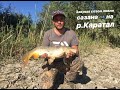ПОПАЛИ НА КЛЕВ САЗАНА, р. Каратал, Алматинская область,учимся ловить сазана.Как ловить сазана ?