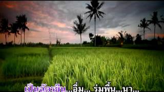 ช้ำกว่าตกตาล - ผ่องศรี วรนุช