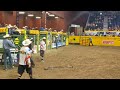The bulls have the best of the riders