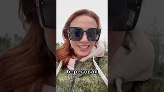 Продаем участки под Питером #продажа #покупка #недвижимость #риэлтор