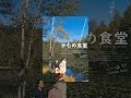 かもめ食堂