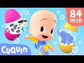 Learn the animals and much more with Cuquin and his friends 🟡🟣🟠 | videos &amp; cartoons for babies