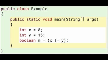 Java Booleans 6: Not-Equal with ints (result is true)